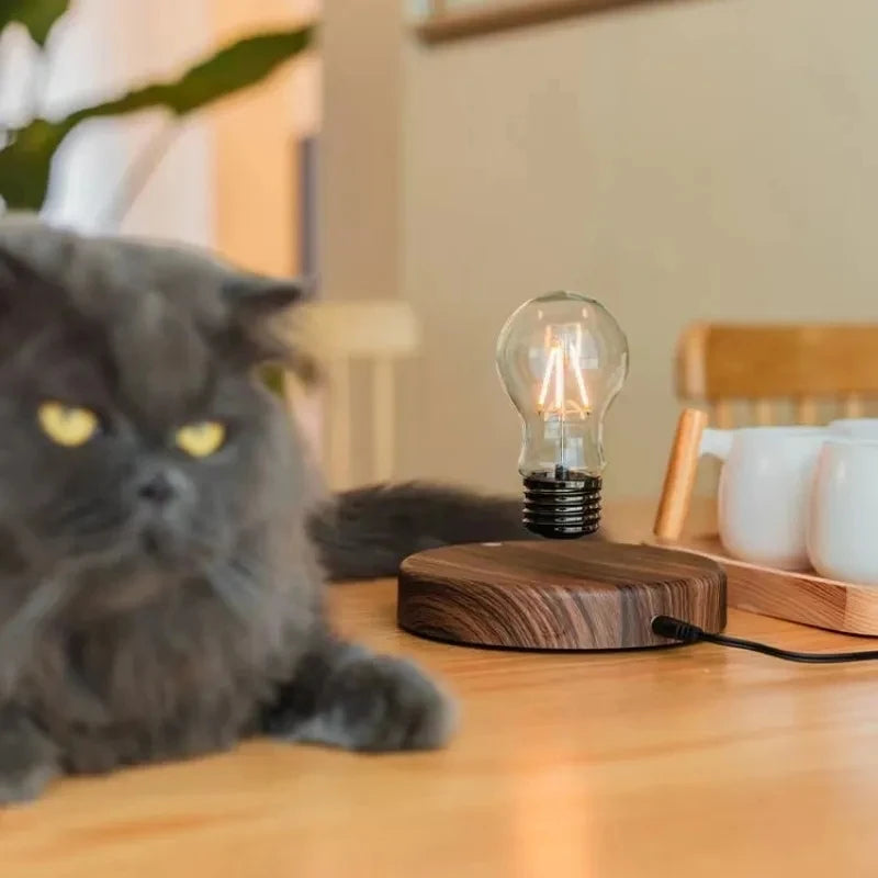 Magnetic Levitation LED Lamp