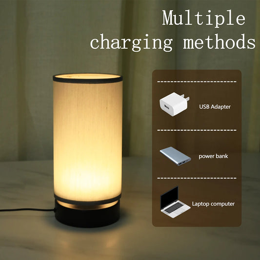Modern Fabric USB Desk Lamp